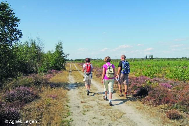 Wandelen over de Strabrechtse Heide