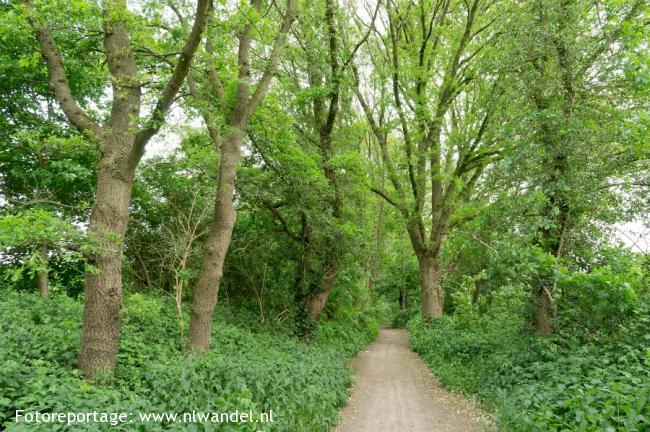 Groene Wissel Aalten