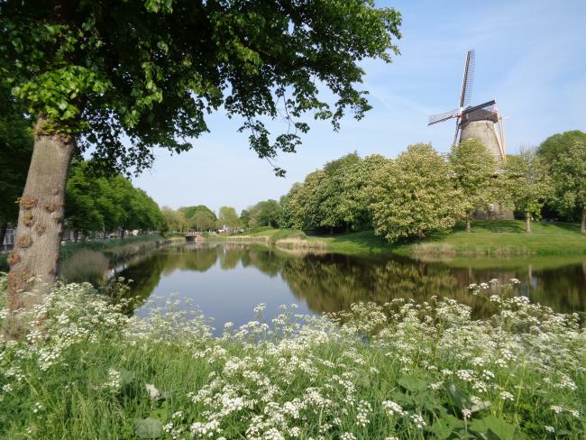 Middelburg in en om de stad