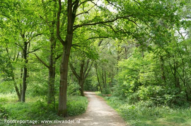 Groene Wissel Doetinchem