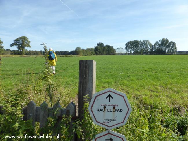 Trage Tocht Wortelkolonie