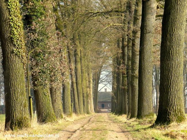 Trage Tocht Diepenveen Rande