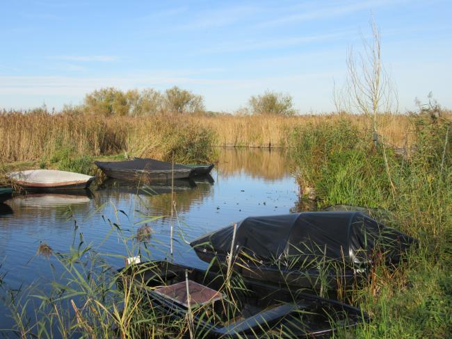 De roeiboten bij het trekpontje in de buurt van Aerdt 
