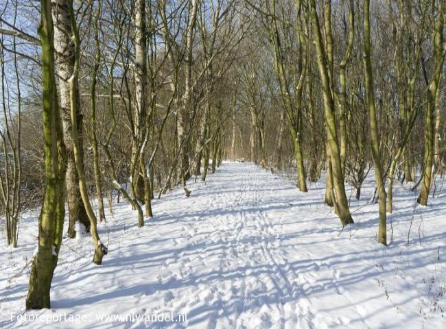 Trage Tocht Halfweg