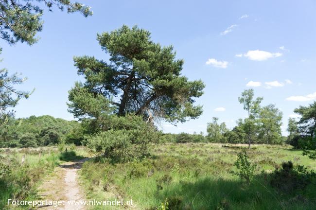 Groene Wissel Etten-Leur