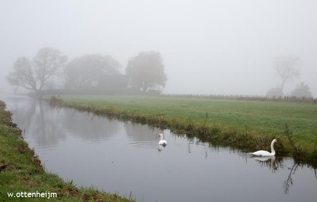 De Ackerdijkse Plassen en de Groenzoom