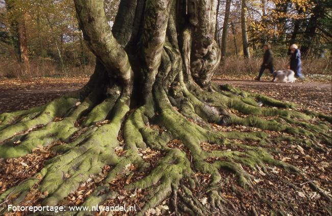 Landgoedwandelen Wassenaar