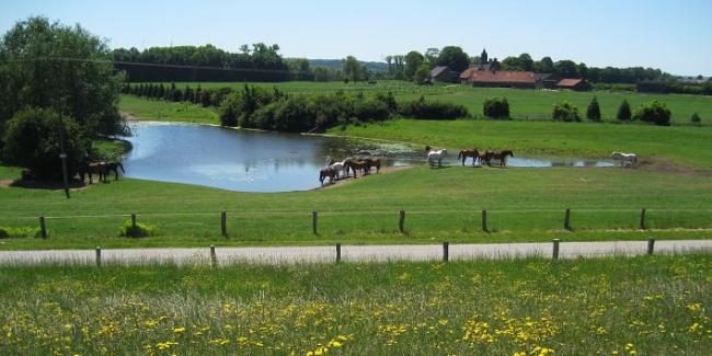 Ooijpolder