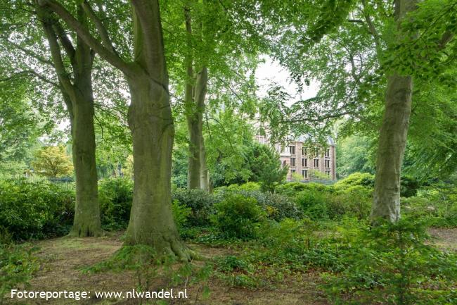 Den Haag