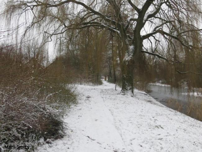 Langs de Kogge