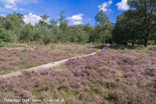 Boswachterspad Stulp en kasteeltuin