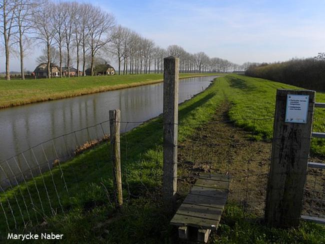 Grasdijk langs de Soestwetering
