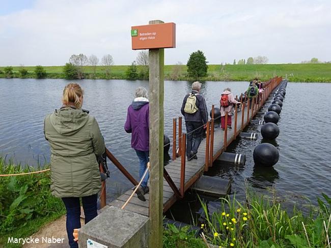 Pontonbrug bij de Duursche Waarden