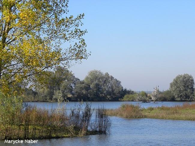 Wandelsporen Wijhe - Zwolle