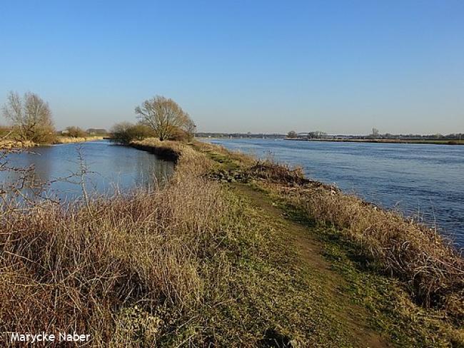 Pad tussen IJssel en nevengeul