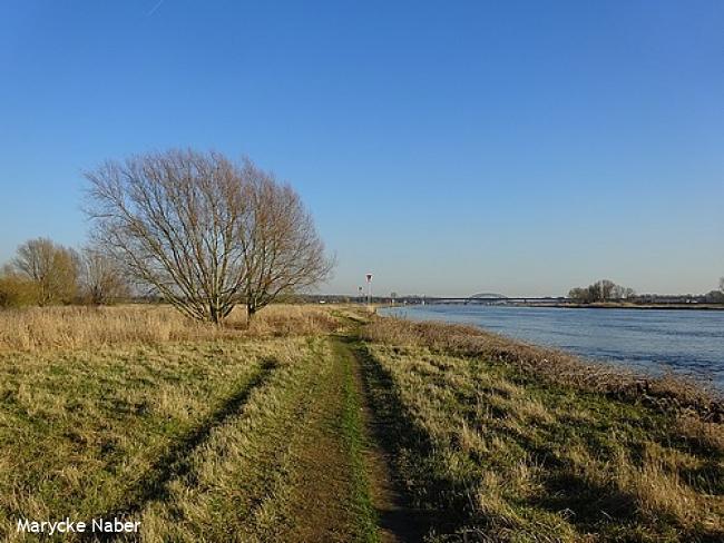 Pad langs de IJssel
