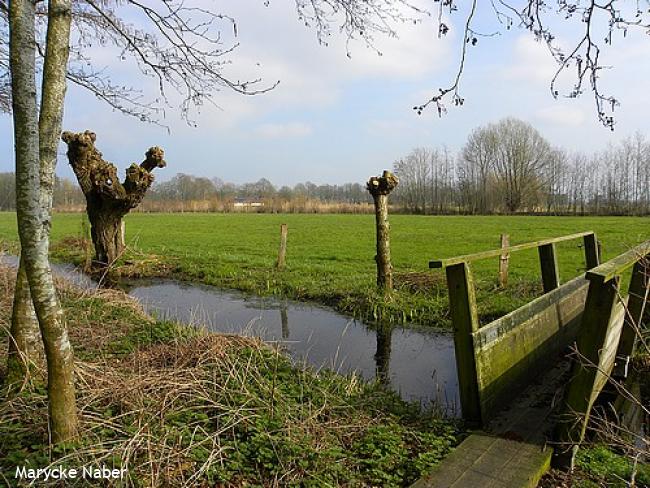 Bruggetje naar weiland