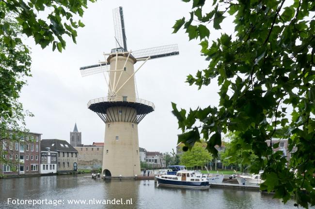 Groene Wissel Schiedam Centrum