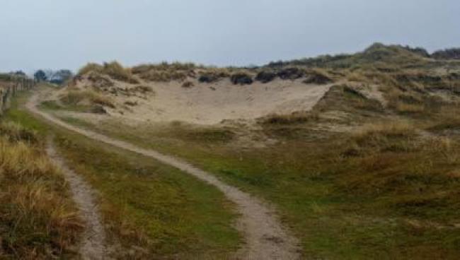 NS-wandeling Helderse Duinen