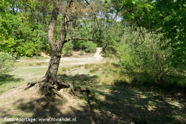 NS-wandeling Krickenbecker Seen