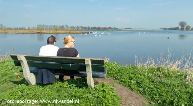 Groene Wissel Polsbroekerdam