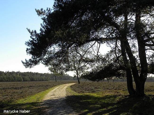 Wandelsporen Zwolle - Wezep