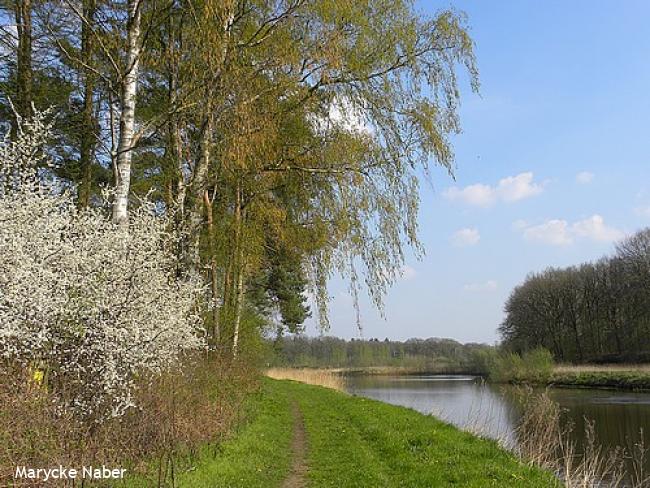 Wandelsporen Dalfsen - Ommen