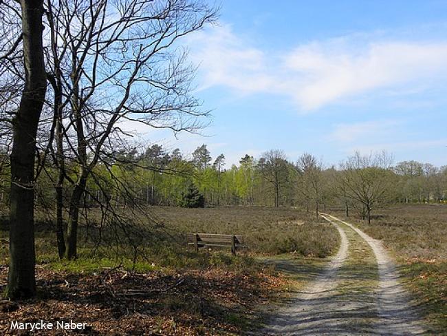 Wandelsporen Wijhe - Wezep 