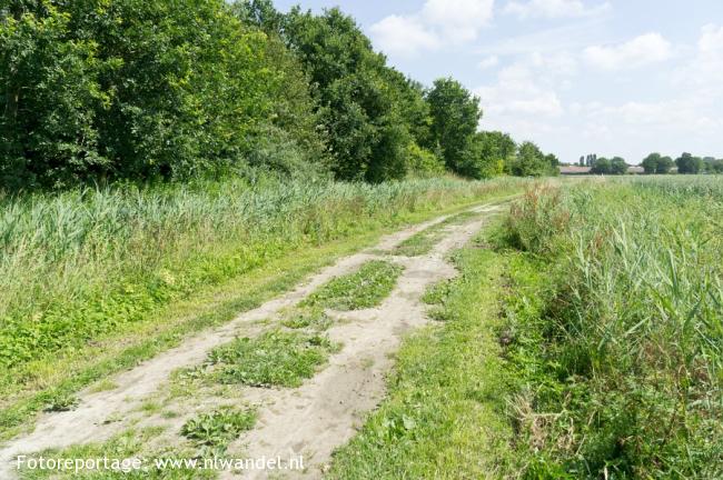 Groene Wissel Uithuizen