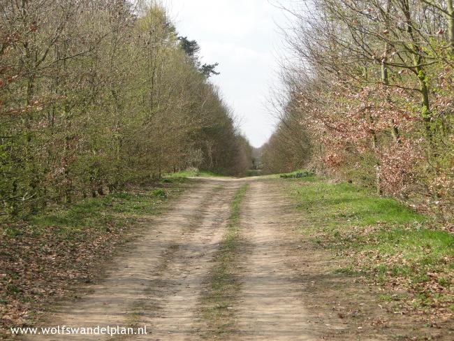 Op weg naar de Carolinaberg