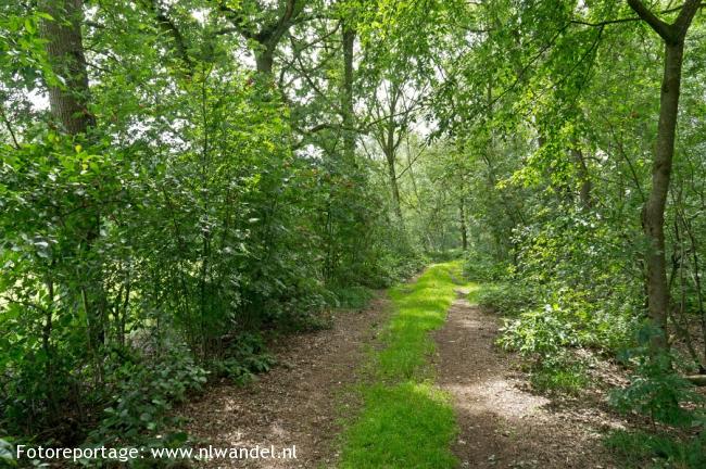 Groene Wissel Maarheeze