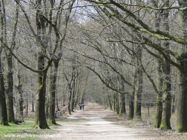 Trage Tocht Dierense Hoogte