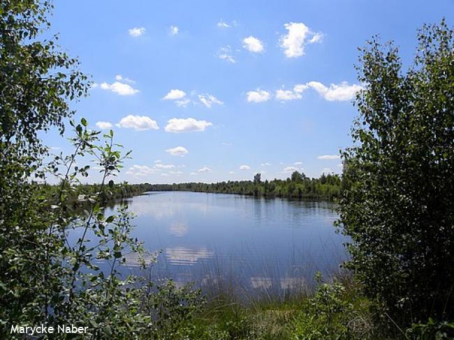 Wandelsporen Daarlerveen - Vriezenveen