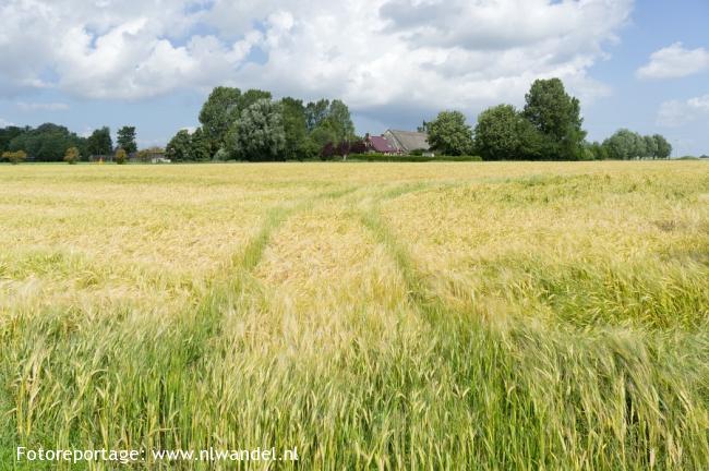 Groene Wissel Roodeschool