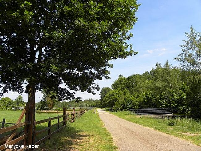 Wandelsporen Vriezenveen - Almelo