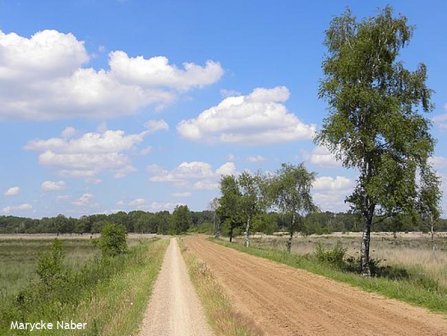 Wandelsporen Wierden - Nijverdal