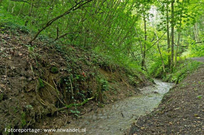 Bunderbos, Hemelbeek