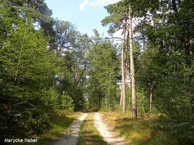 Wandelsporen Ruurlo - Lochem