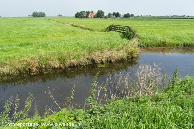 Groene Wissel Workum 1