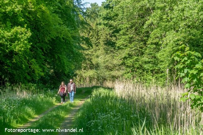 Groene Wissel Lelystad: Hollandse Hout