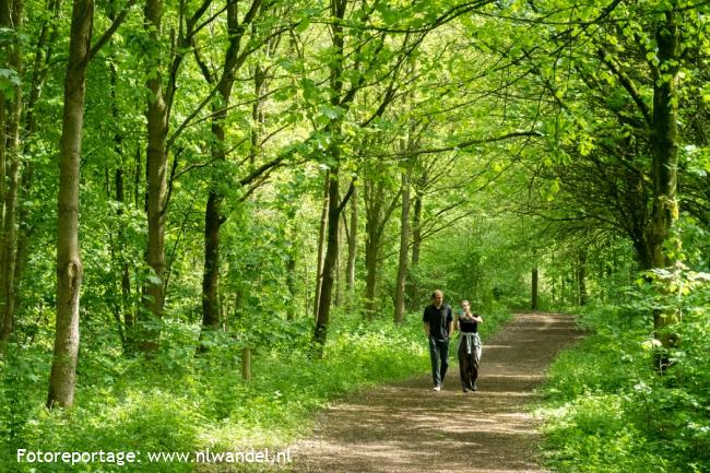 Groene Wissel Lelystad: Jagersbos