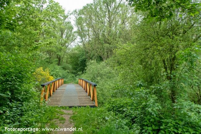 Groene Wissel Lelystad: Larserbos