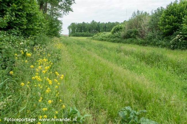 Groene Wissel Swifterbant