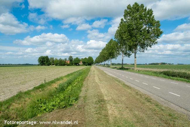 Groene Wissel Tollebeek