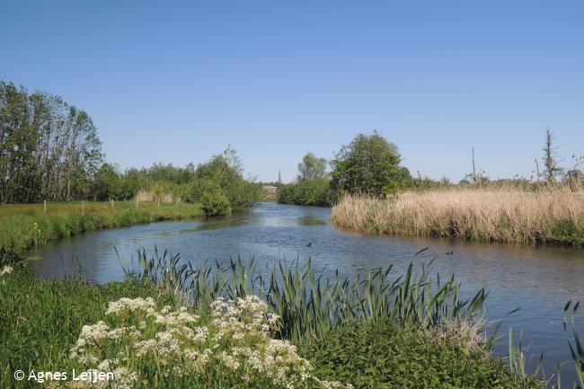 De Dommel
