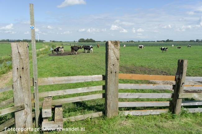 1 van de 65 overstapjes/hekken