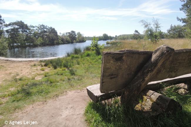 Groeten uit de Kempen