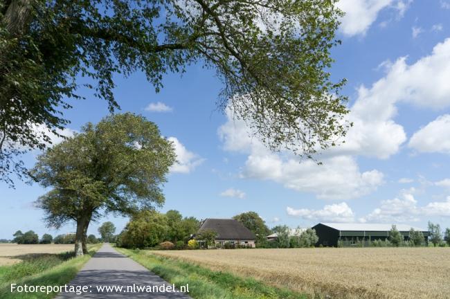 Groene Wissel Anna Paulowna