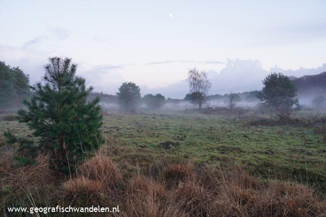 Nevelig landschap Planken Wambuis
