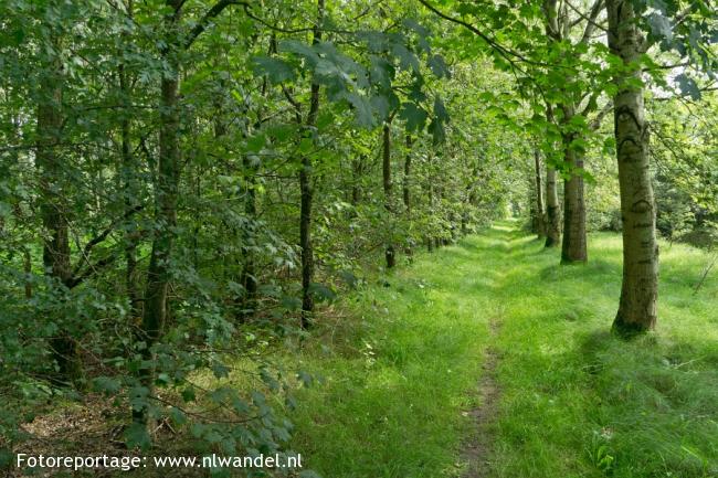 Groene Wissel Winschoten 1